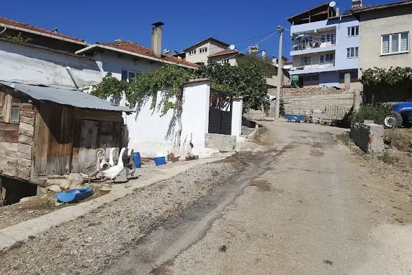 Çöreler Köyü Camii - Resim 9