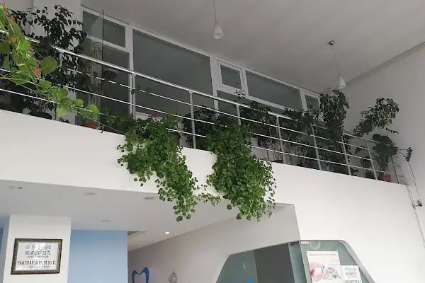 Dünya Diş Polikliniği(Van) - Resim 12