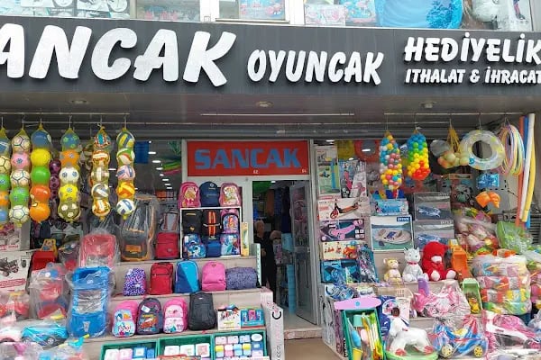 Sancak Oyuncak - Resim 3
