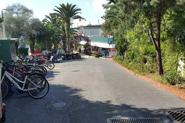Heybeliada Su Sporları Kulübü - Resim 7