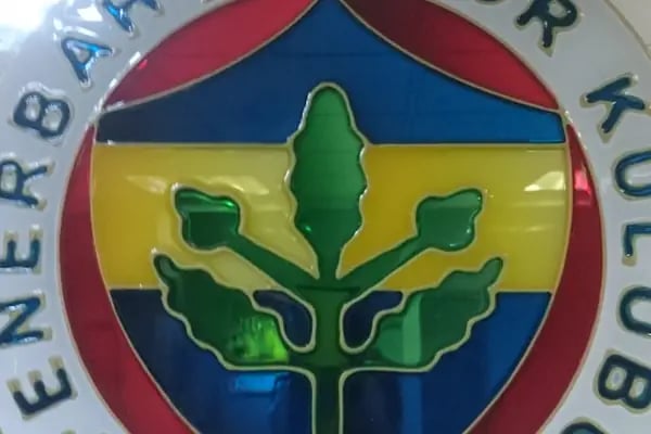 Fenerbahçe Ataşehir Cimnastik Spor Okulu - Resim 9