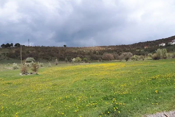 Çamköy Dağ Evleri Sitesi - Resim 19