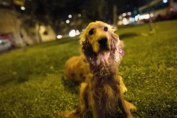 Üçyol Sevgi Yolu Parkı - Resim 2