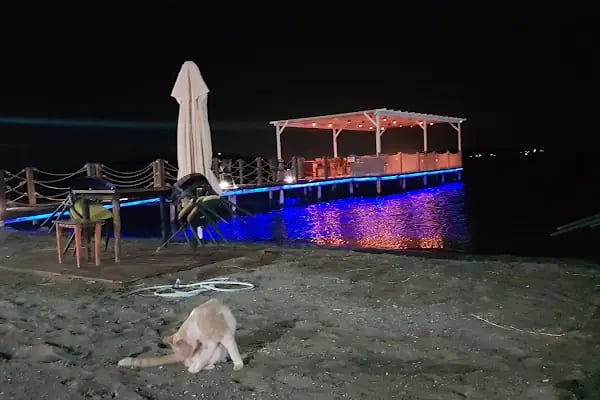Deniz Restaurant - Resim 15
