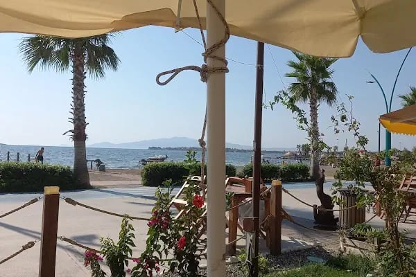 Deniz Restaurant - Resim 12