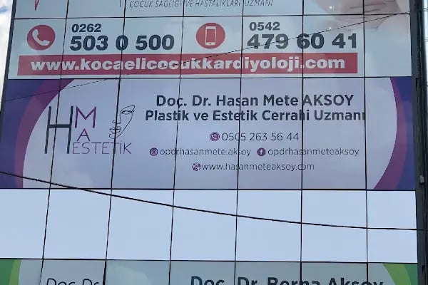 Estetik ve Plastik Cerrah | Doç. Dr. Hasan Mete Aksoy | Kocaeli - Resim 9