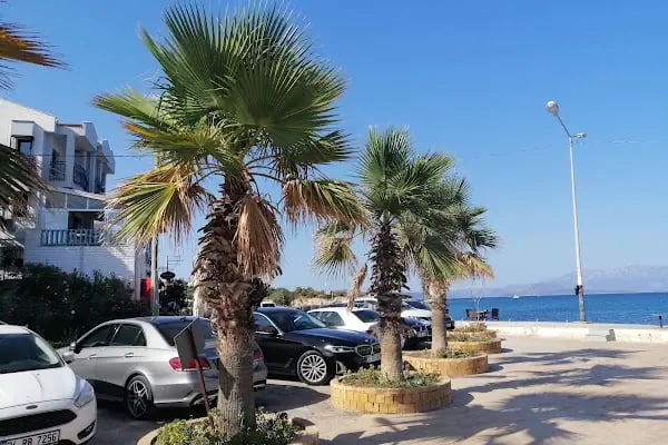 VİRA Yachting &amp; Rowing Club Haliç - Vira Yatçılık - Resim 8