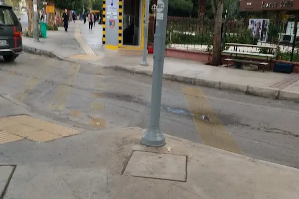 Sarmaşık Taksi - Resim 1
