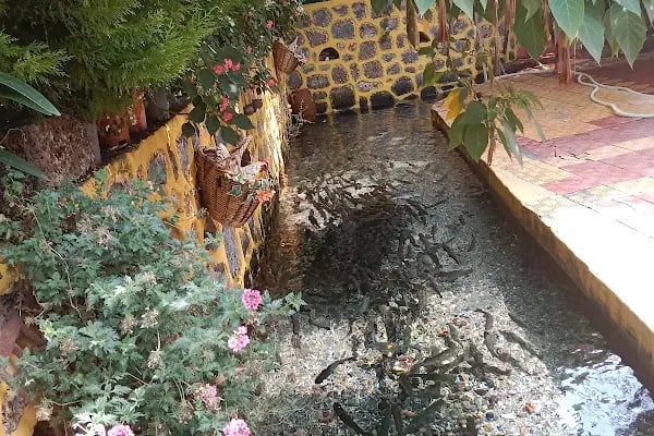 Tatarlı Köyü Kaynargöz Restaurant - Resim 10