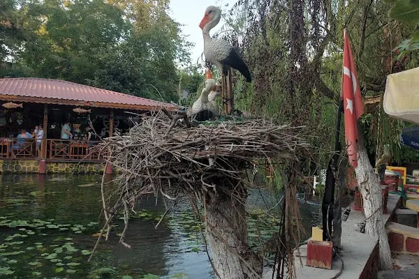 Tatarlı Köyü Kaynargöz Restaurant - Resim 20