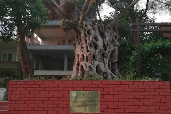 Kanarya Parkı - Resim 6