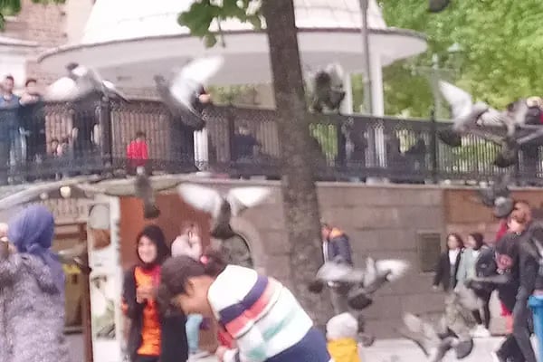 Kepekçiler Turizm - Resim 3