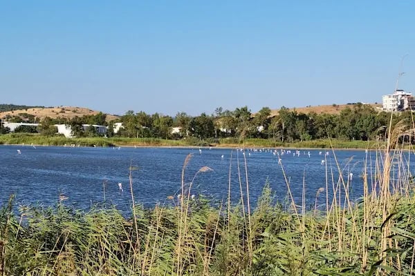 Hampton By Hilton Aliağa İzmir - Resim 18