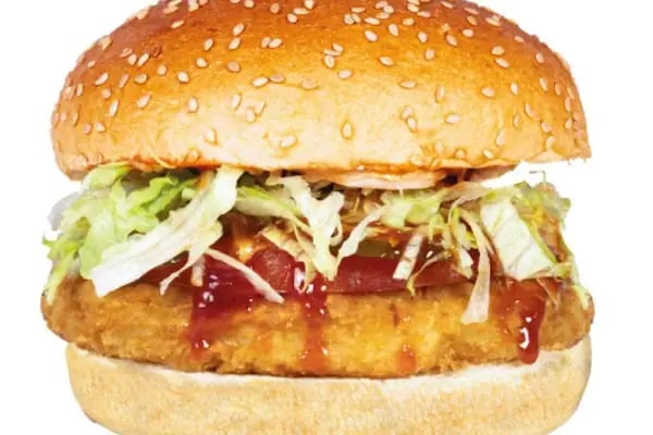 Ercan Burger - Resim 15
