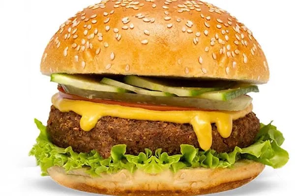 Ercan Burger - Resim 20