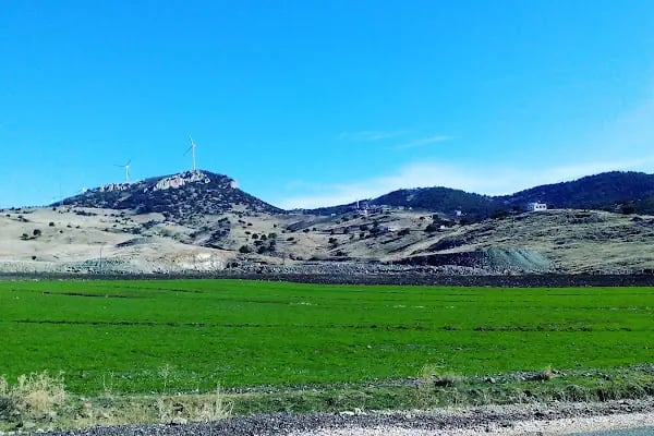 Garnizon Şehitler Koruluğu - Resim 5