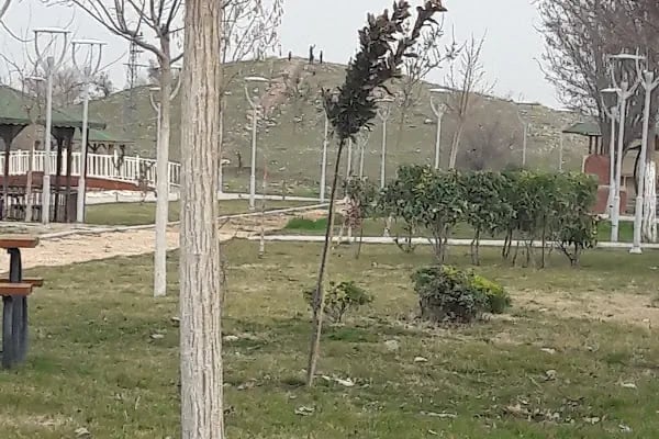 Karapınar Parkı Araban - Resim 16