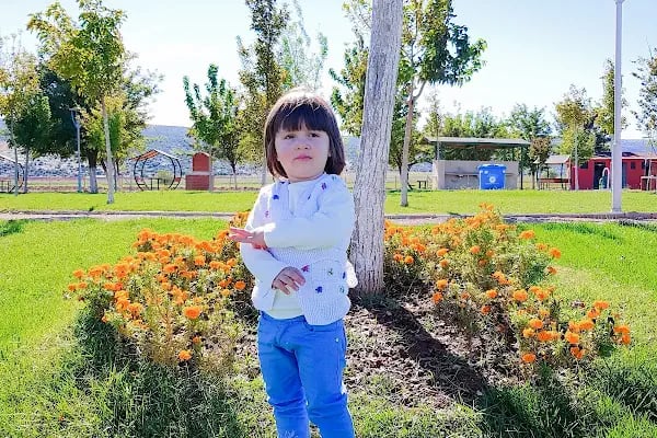 Karapınar Parkı Araban - Resim 5