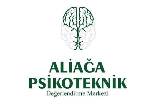 Aliağa PSİKOTEKNİK - Resim 7
