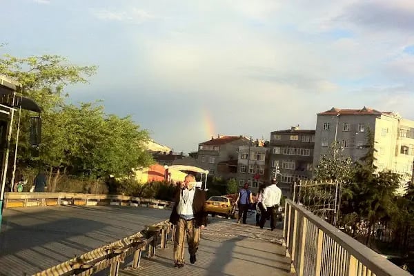 Orhangazi Parkı - Resim 18