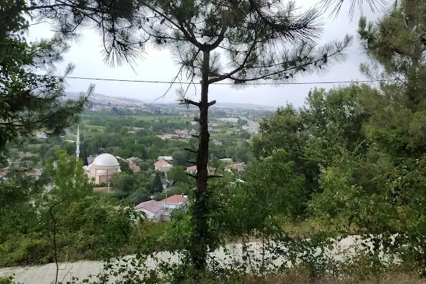 Karincali Dede Türbesi - Resim 10