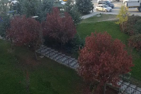 Güneşevler Parkı - Resim 7