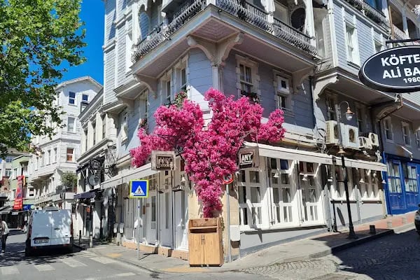 Arnavutköy Any - Resim 6