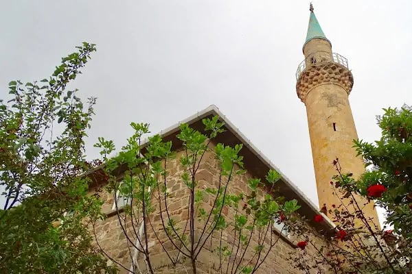 Aslanlı Cami - Resim 3