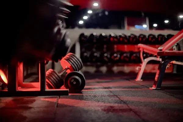LUDUS GYM - Resim 17