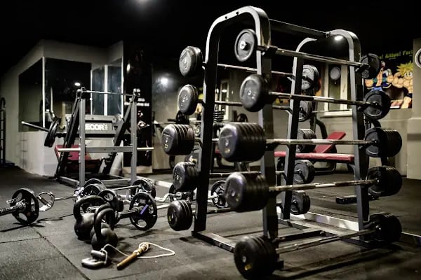 LUDUS GYM - Resim 3