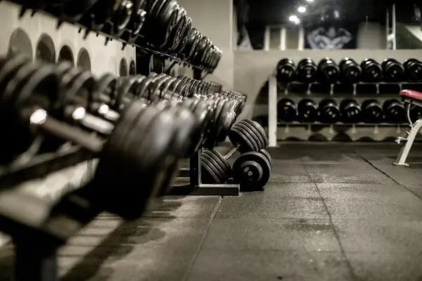 LUDUS GYM - Resim 19