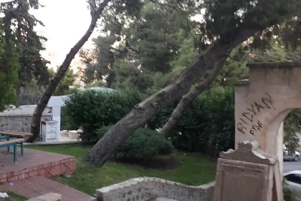 Tılfındır Parkı - Resim 14