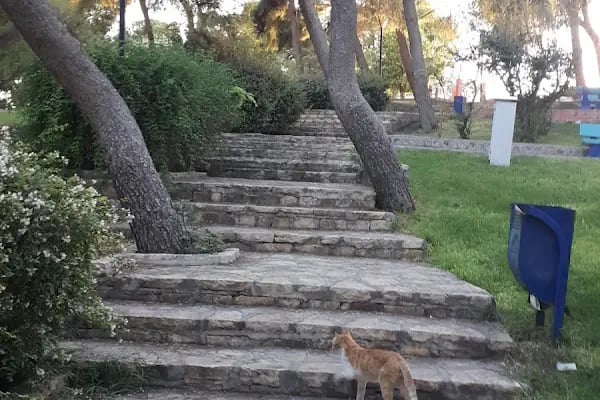 Tılfındır Parkı - Resim 7