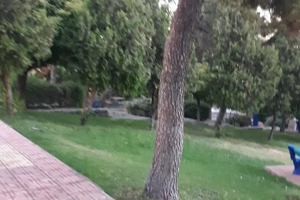 Tılfındır Parkı - Resim 6