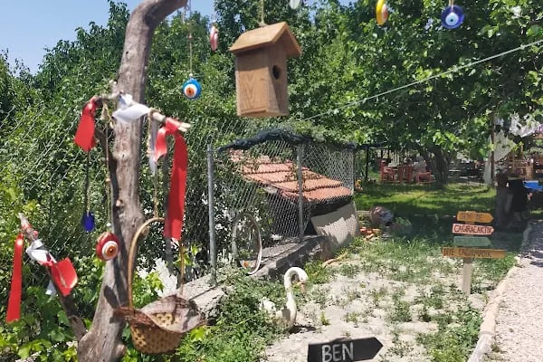 ARIKLAR YEŞİL SOFRA - Resim 5