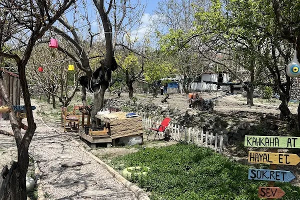 ARIKLAR YEŞİL SOFRA - Resim 12