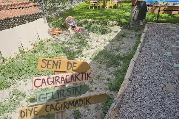ARIKLAR YEŞİL SOFRA - Resim 20