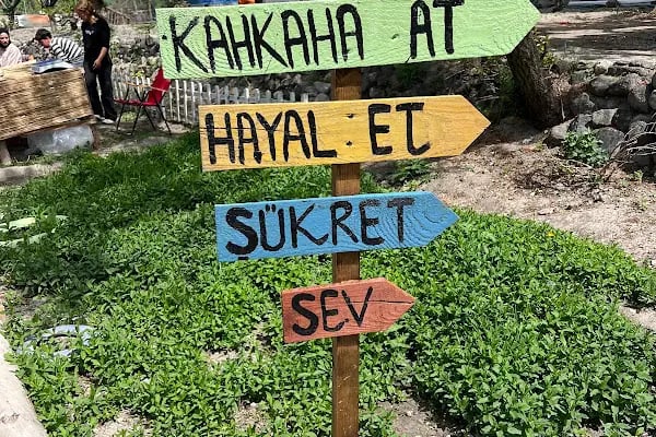 ARIKLAR YEŞİL SOFRA - Resim 19