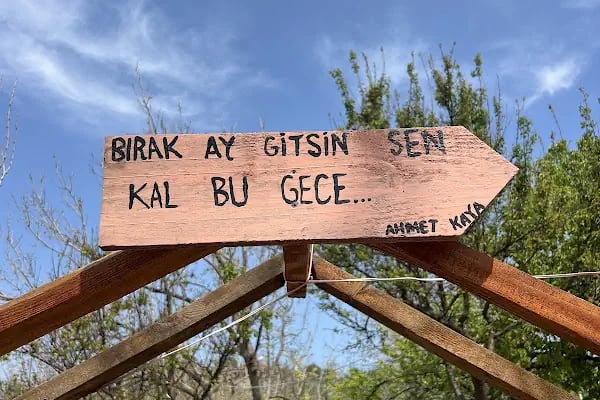 ARIKLAR YEŞİL SOFRA - Resim 10