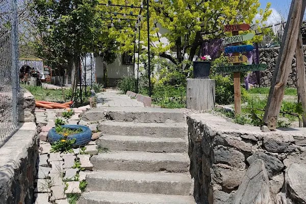 ARIKLAR YEŞİL SOFRA - Resim 14