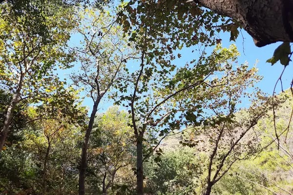 Yeşilvadi Doğa Park ve Kamp Alanı - Resim 18