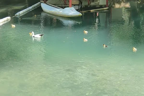 Yeşilvadi Doğa Park ve Kamp Alanı - Resim 2