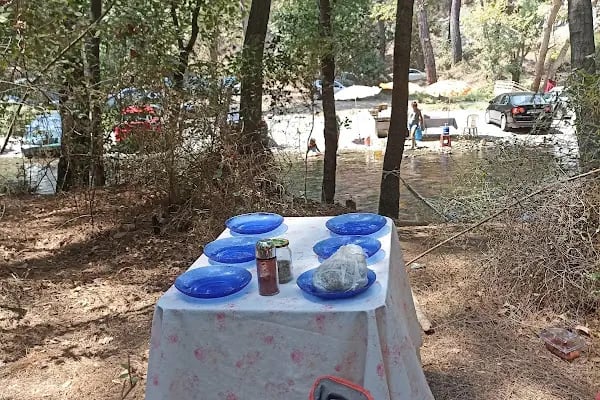 Yeşilvadi Doğa Park ve Kamp Alanı - Resim 14