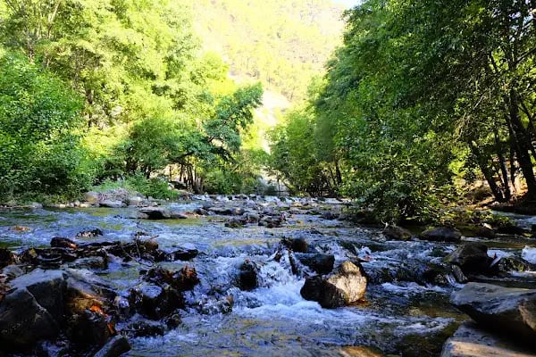 Yeşilvadi Doğa Park ve Kamp Alanı - Resim 9