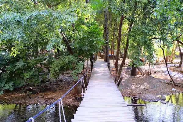 Yeşilvadi Doğa Park ve Kamp Alanı - Resim 13
