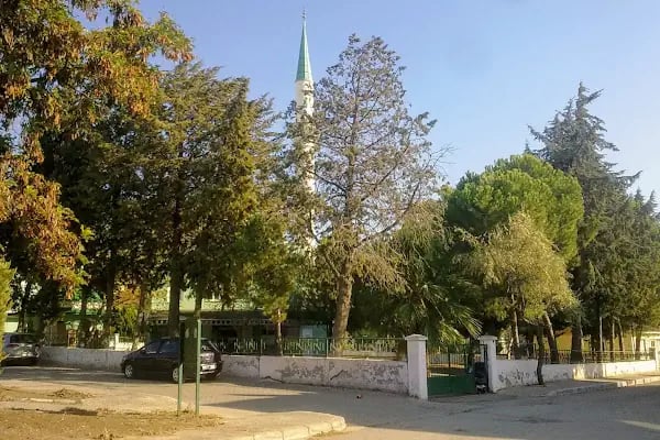 Yeşil Tepe Evler Cami - Resim 3