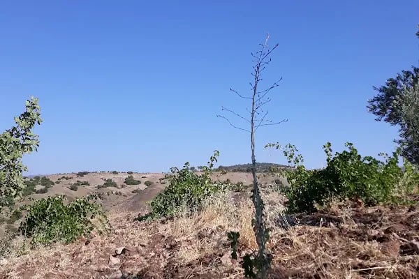 Gaziantep Organize Sanayi Bölgesi - Resim 5