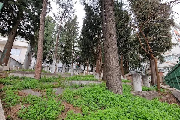 Zeyneddin Hafi Hz. Türbesi - Resim 5
