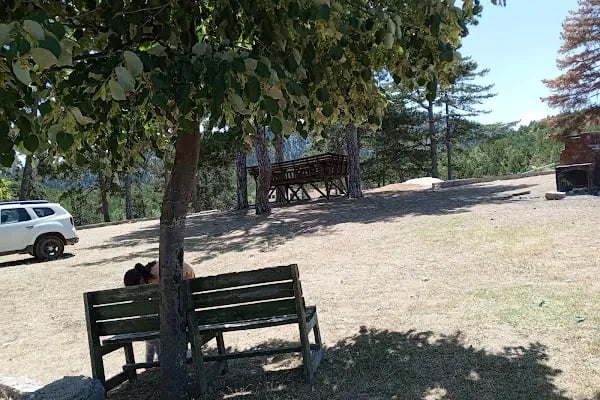 Çam Beli Mesire Alanı - Resim 4