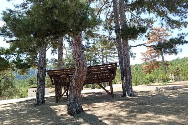 Çam Beli Mesire Alanı - Resim 6